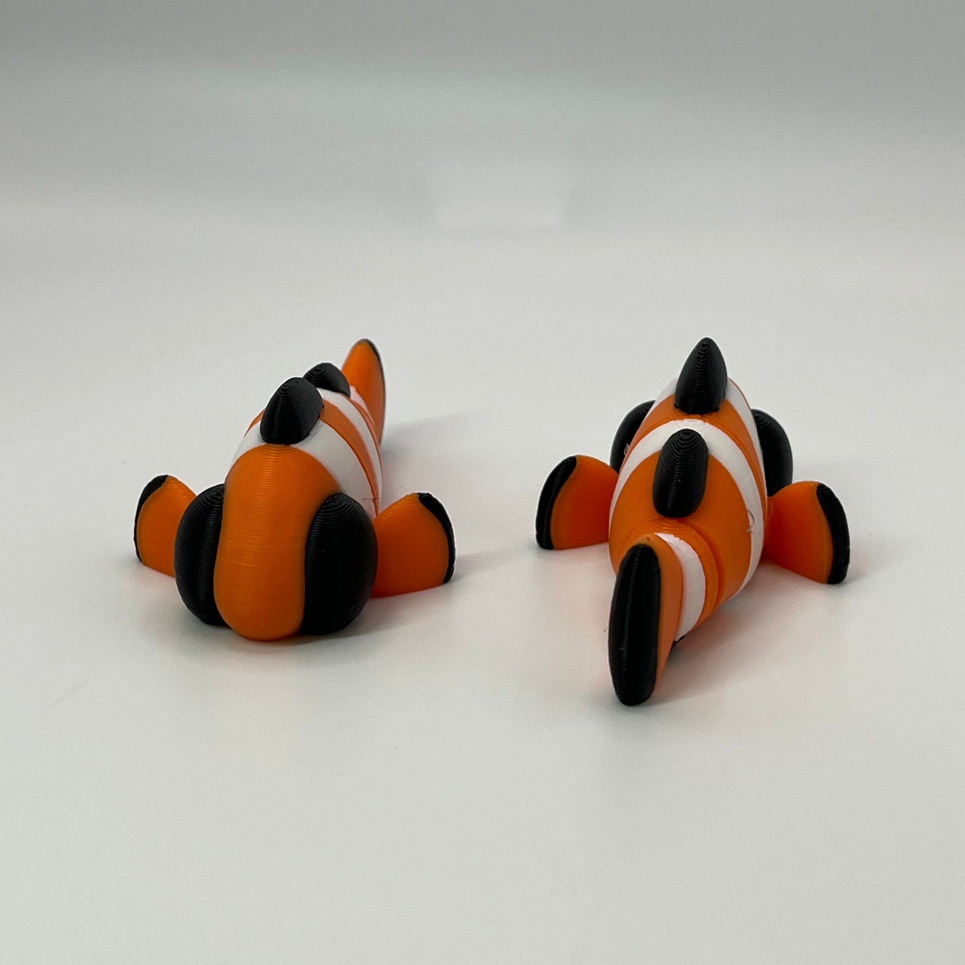 Clown Fish