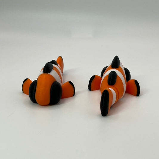 Clown Fish
