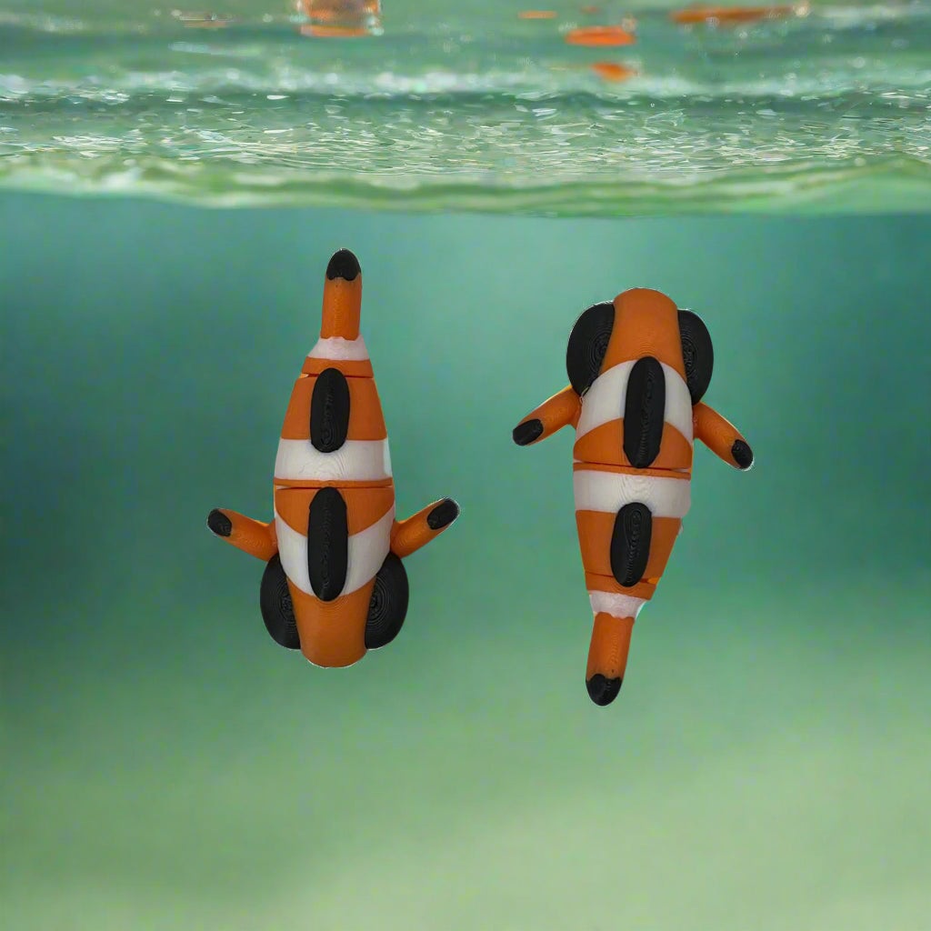Clown Fish Top
