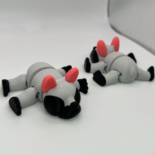 French Bulldogs Laying