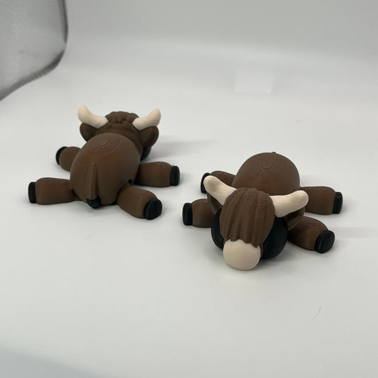 Highland Cow