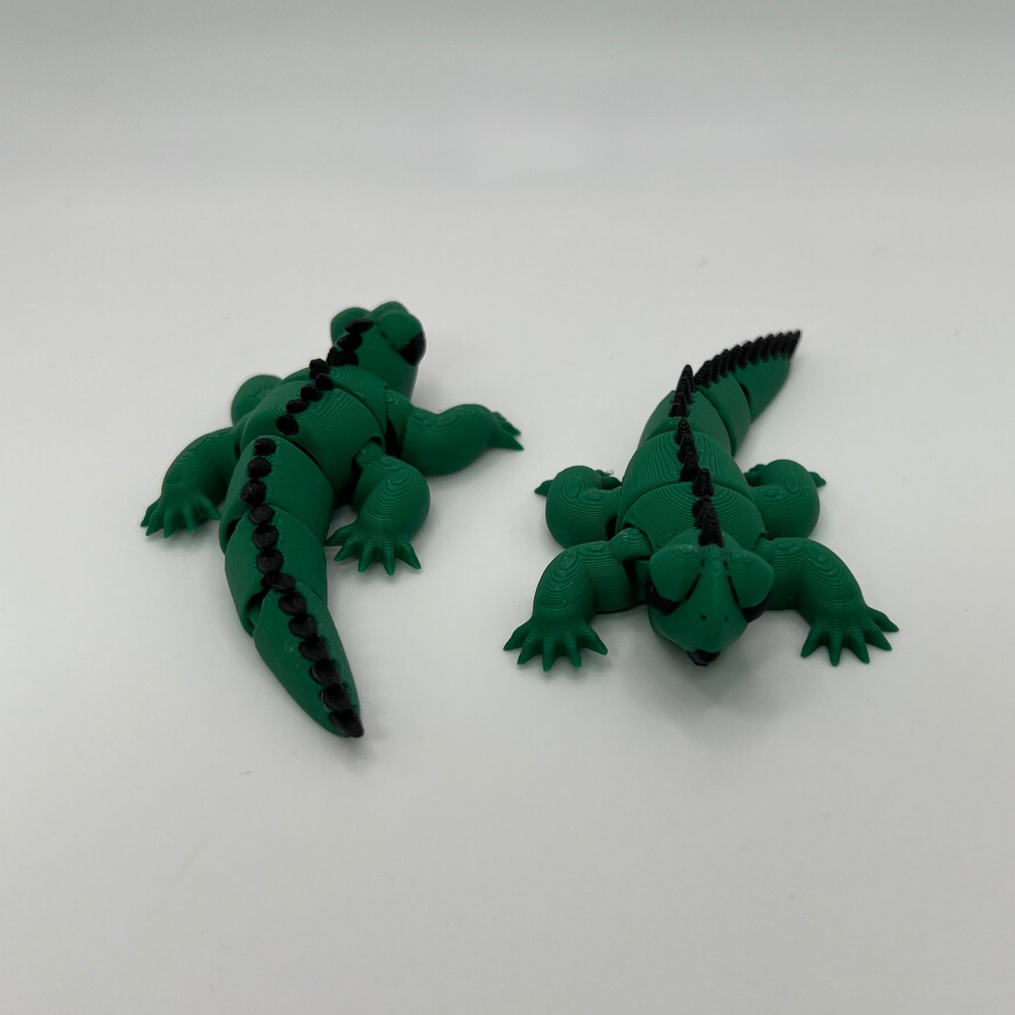 Iguana