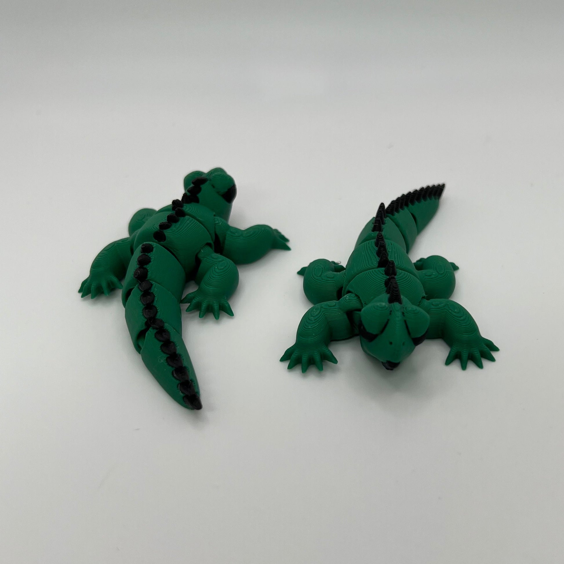 Iguana