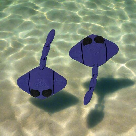 Stingray Top