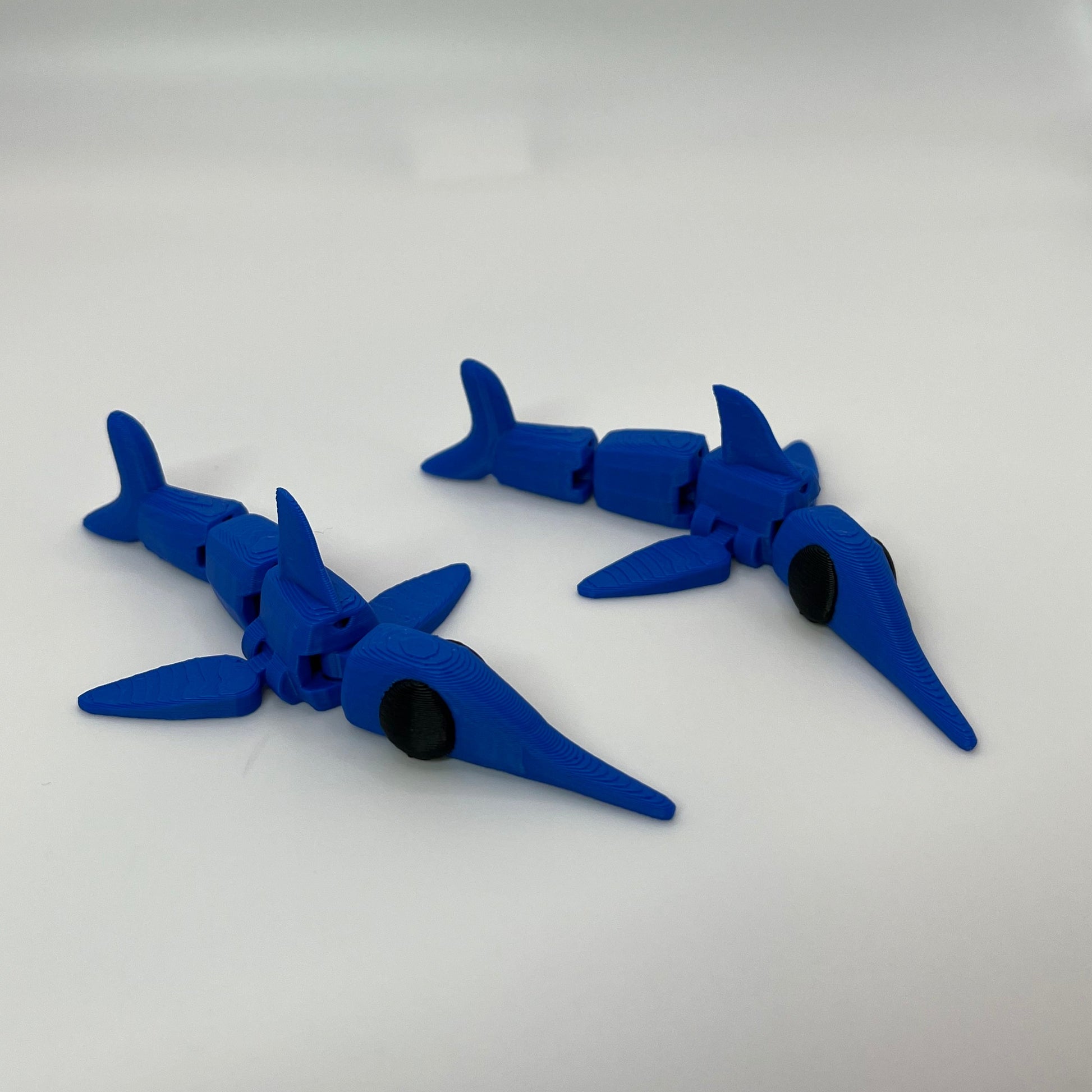 Swordfish
