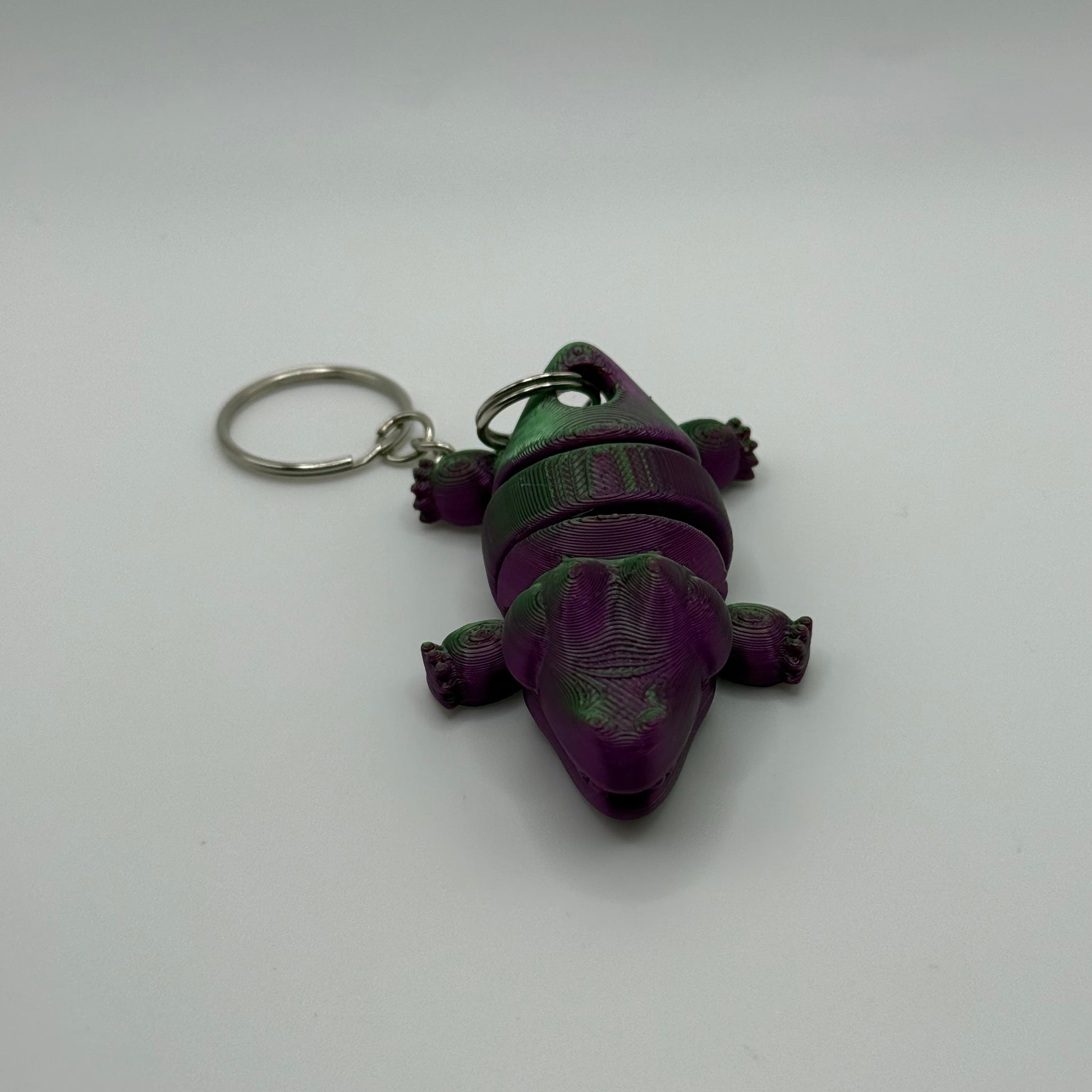  Alligator