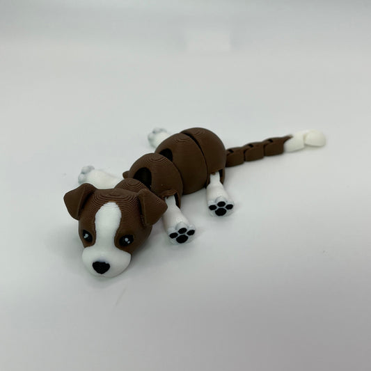 Beagle
