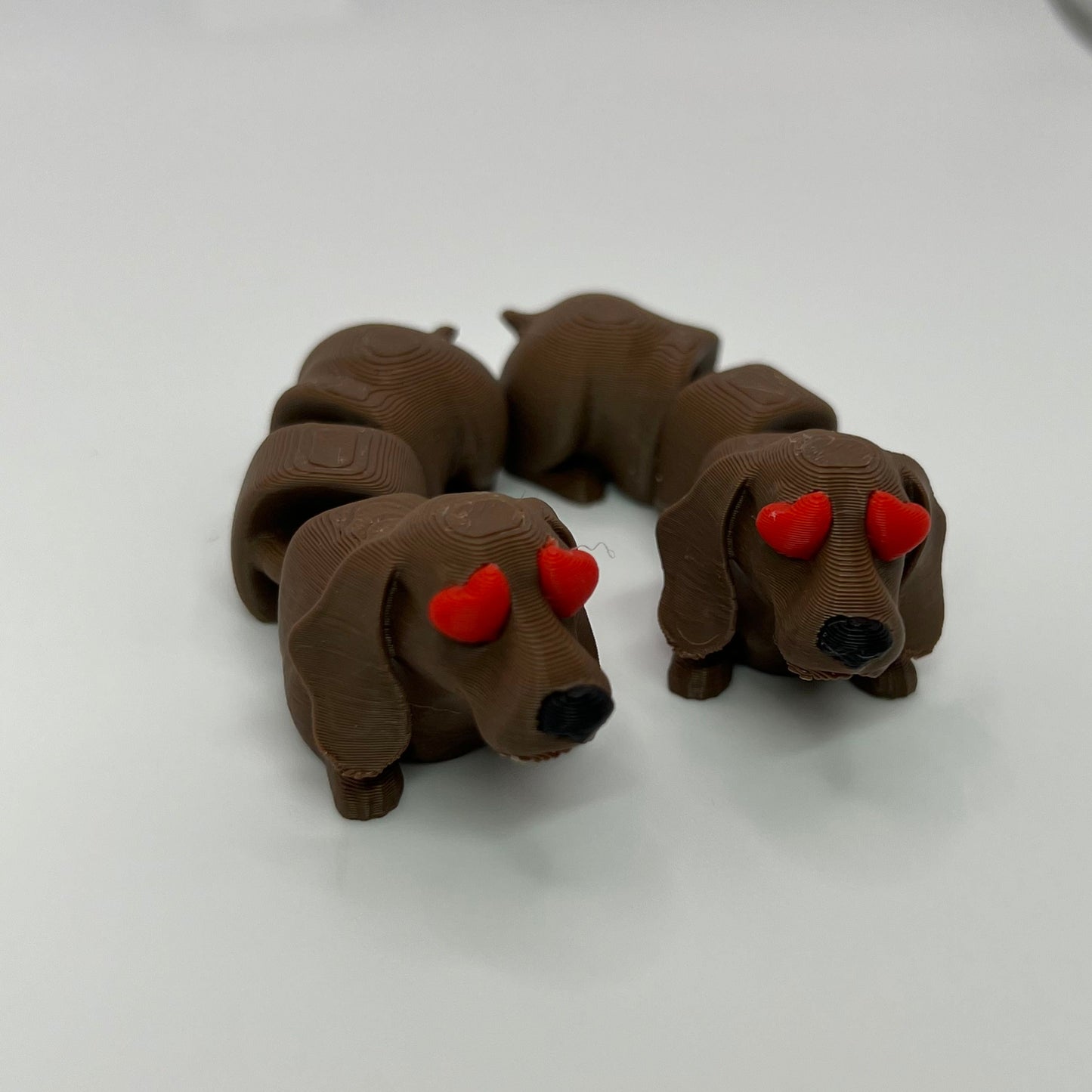Dachshund