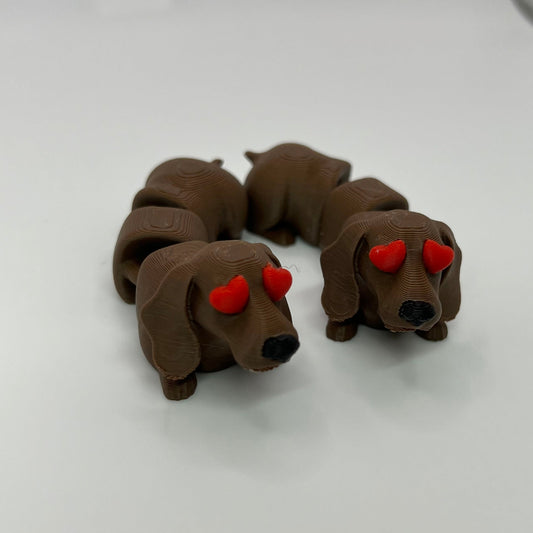 Dachshund
