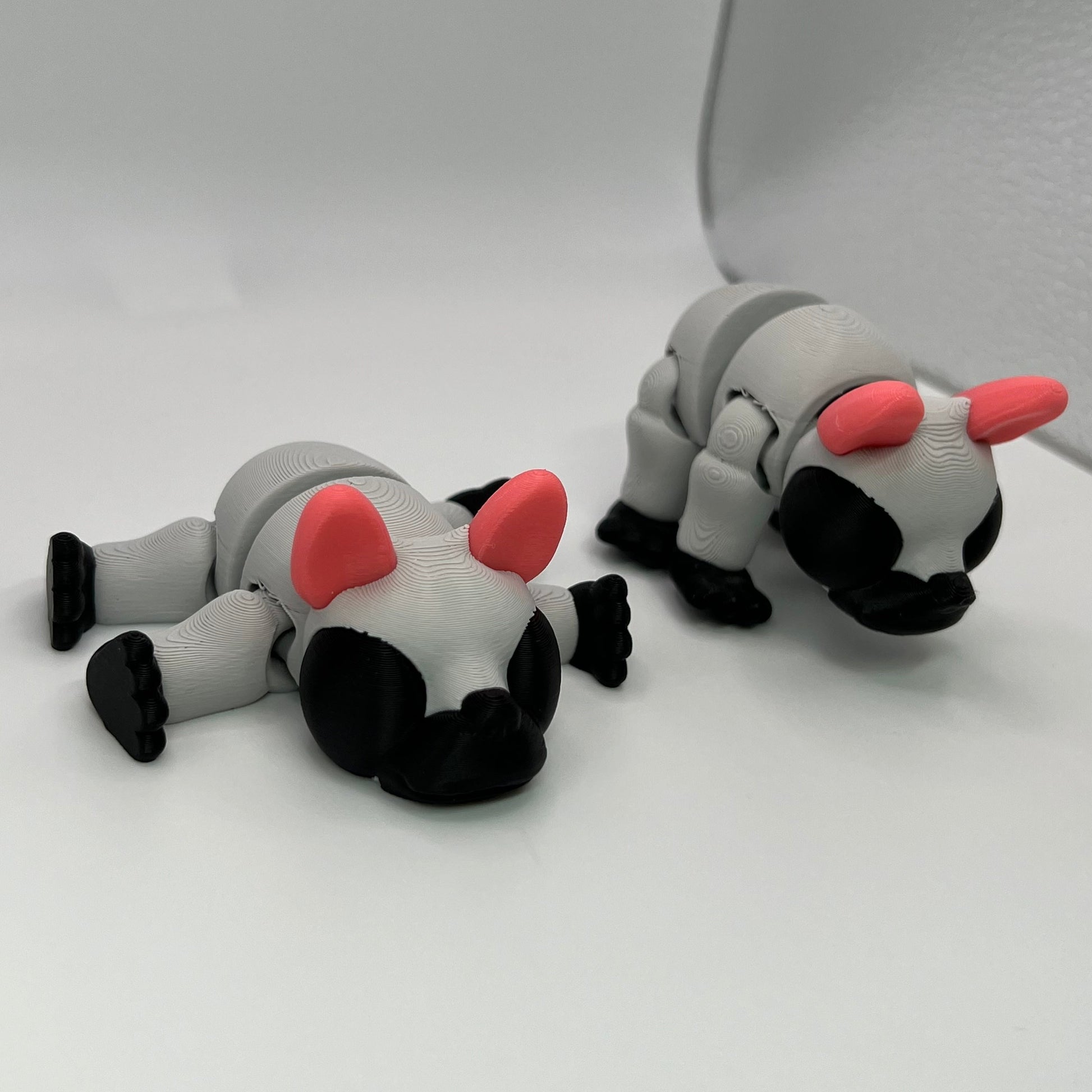 French Bulldogs