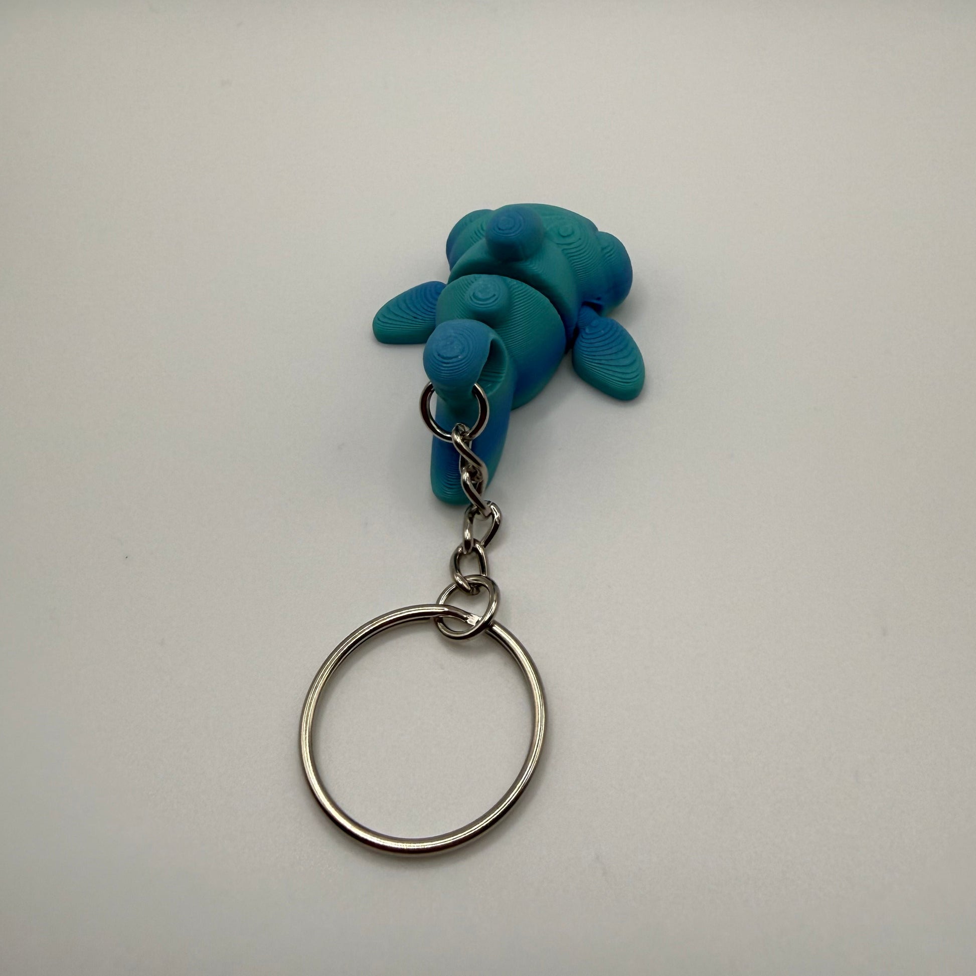 Hammerhead Shark Back