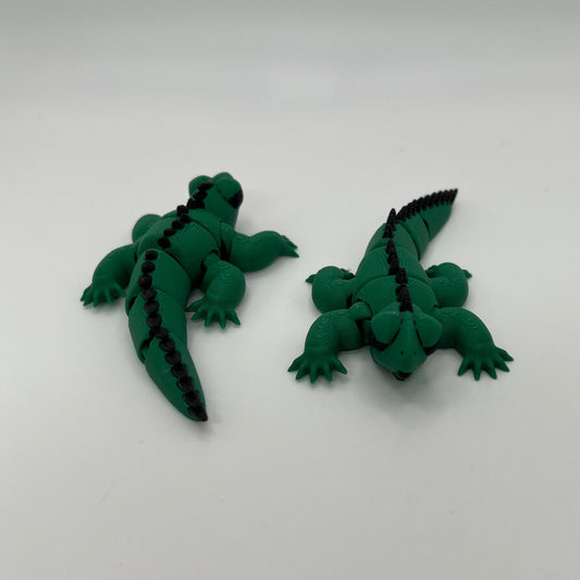 Iguana