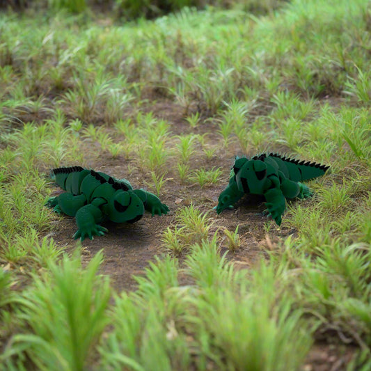 Iguana Front