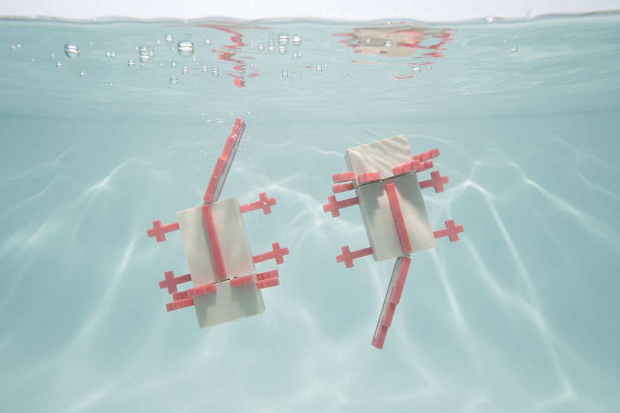 Minecraft Axolotl Top