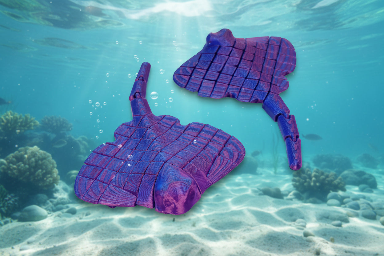  Multicolor Stingray Front and Back