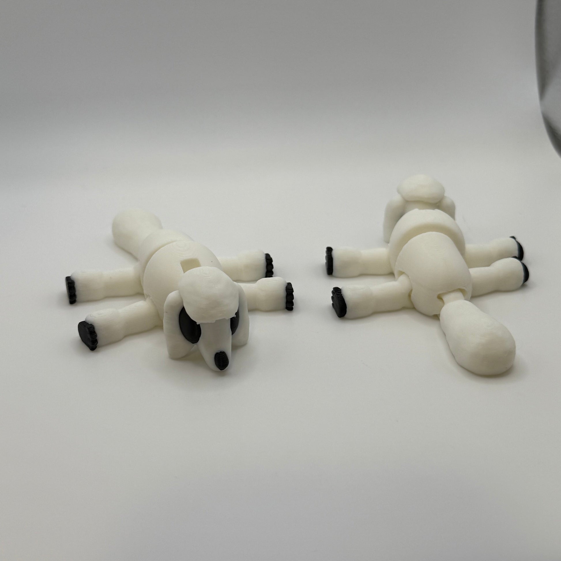 Poodle White 2