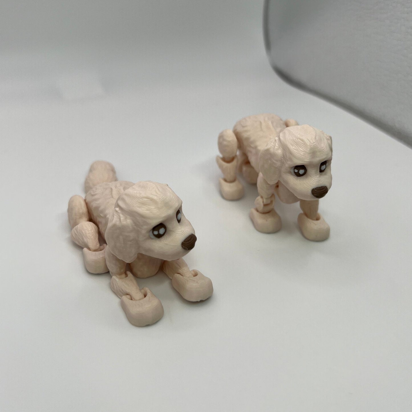 Poodles 2