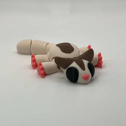 Sugar Glider