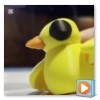 Duckling Video